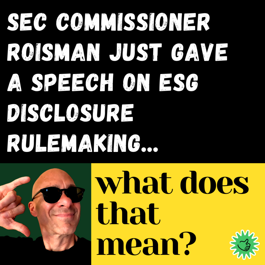 SEC Roisman LinkedIn